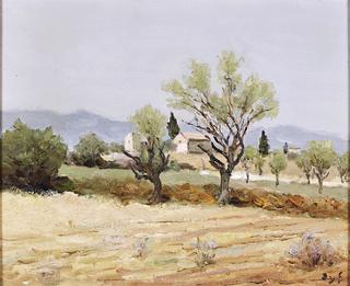 Almond Trees