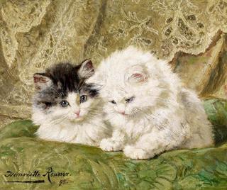 two kittens