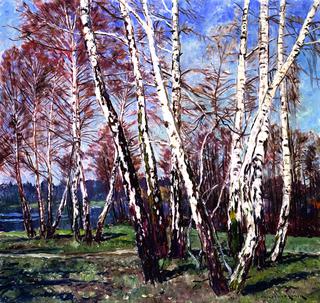 Birch Trees in the New Garden