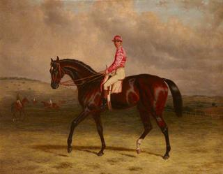 'Broomilaw' with Jockey on Epsom Downs