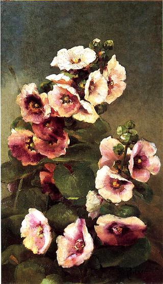 Pink Hollyhocks