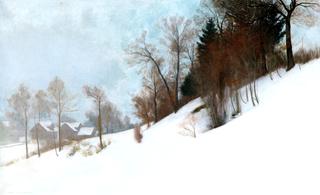 Snow Landscape