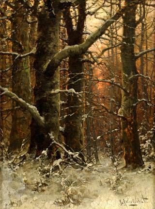 Winter Forest