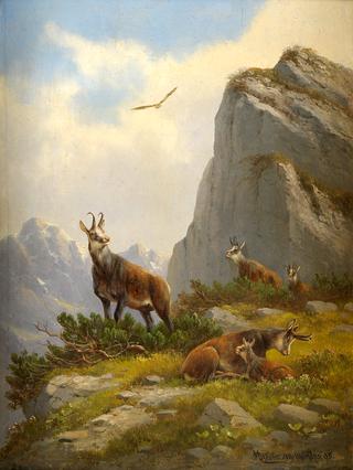Goats in the Mountains