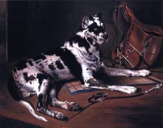 Recumbant Great Dane