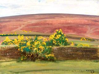 Wall and Gorse on Exmoor