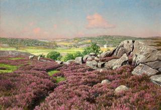 Heather-clad cliffs with sheep