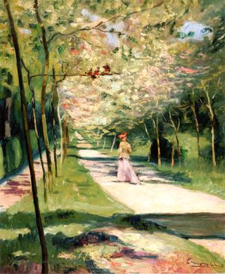 A Lane in the Park at Saint Cloud