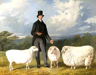 Valentine Barford, with His Purebred Sheep