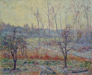 Landscape in Winter with fog