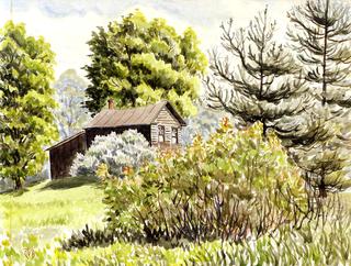 A House near the Woods
