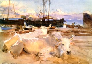 Oxen on the Beach at Baia, Bay of Naples