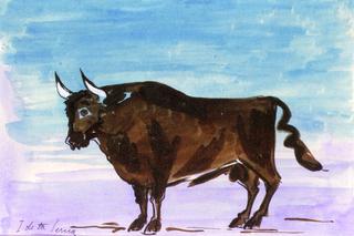 Bull