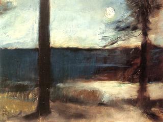 Moonlight on the Coast near Mark Brandenburg