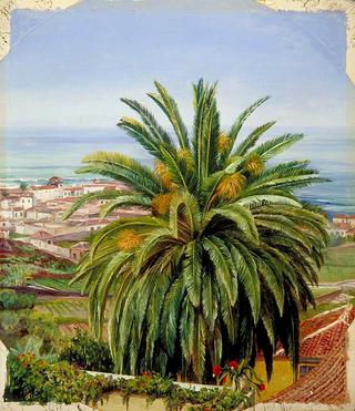 View of Puerto de Orotava, Teneriffe, from Sitio del Pardo