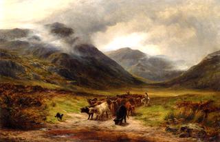 Cattle Droving in the Highlands