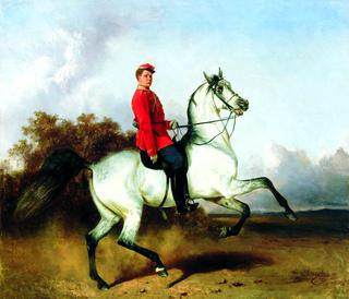 Hussar on Horseback