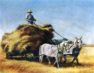 Collecting the Harvest