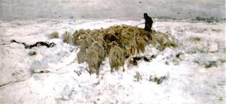 Flock of sheep in the Snow