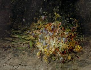 A Spray of Wild Flowers