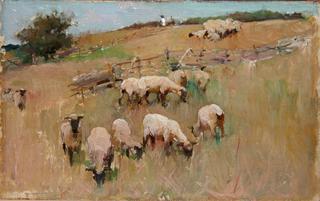 Shepherding