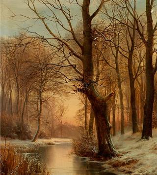 Late Afternoon in a Forest with a Frozen Brook