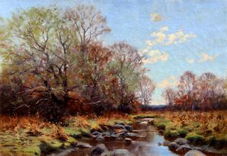 Early Summer Stream