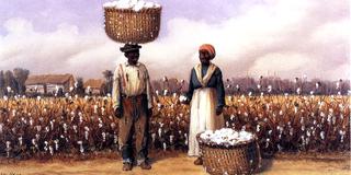 Negro Man and Woman in Cotton Field with Baskets of Cotton