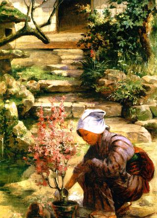 In the Garden