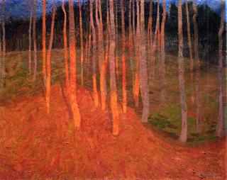 Forest at Twilight