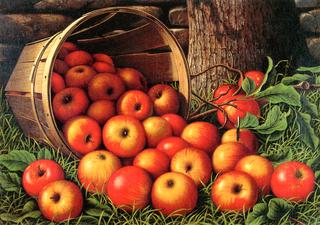 Basket of Apples