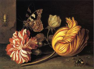 Study of Flowers and Insects