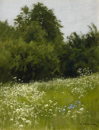 Meadow on the Forest Edge