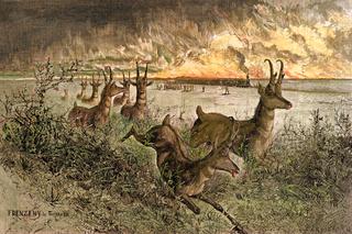 Shooting Antelopes from a Railroad Train in Colorado