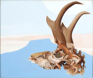 Antelope head with Pedernal