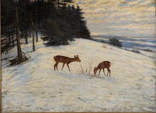 Winter Landscape
