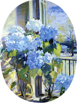 Hydrangeas by the Studio Window (at Cheyne Walk, London, England)