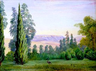 View of a Table Mountain from Bishop Colenso's House, Natal