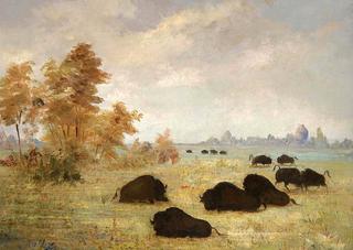Stalking Buffalo, Arkansas