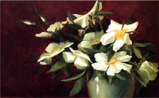White Roses