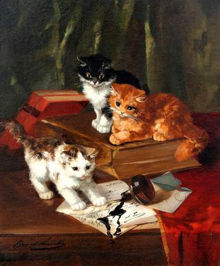 three kittens