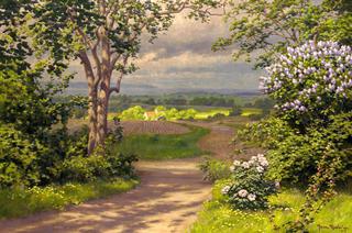 Early Summer Landscape