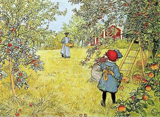 The Apple Harvest