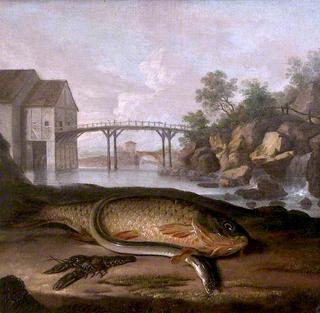 Common Carp, Freshwater Crayfish and Eel, in an Imaginary French Setting