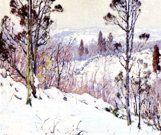 Hillside in Winter