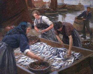 Gutting Herring