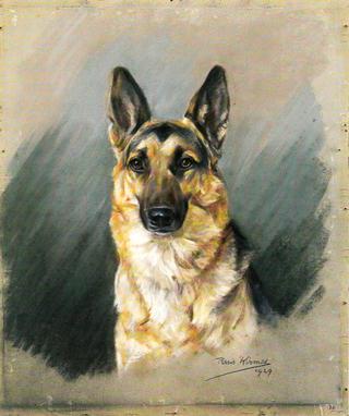 Portrait of a Dog