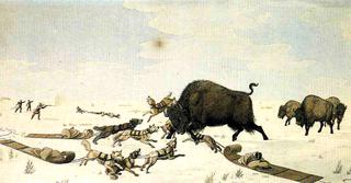 Buffalo Hunt