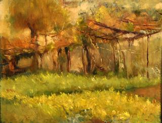 Wooded Landscape