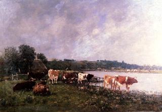 Cows on the Banks of the Touques